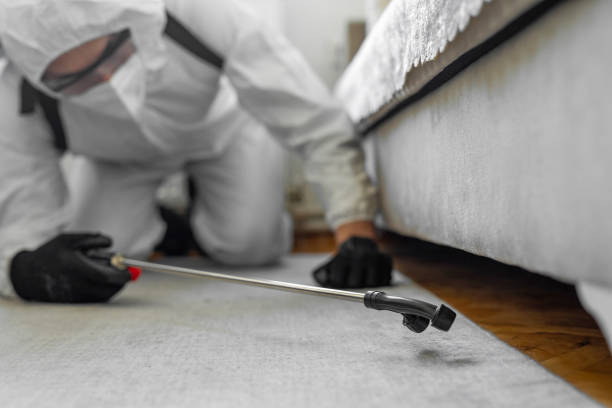 Professional Termite Control technician working in Emigsville, PA