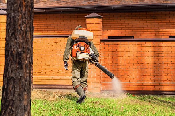 Trusted Termite Control service in Emigsville, PA - Nex Pest Control